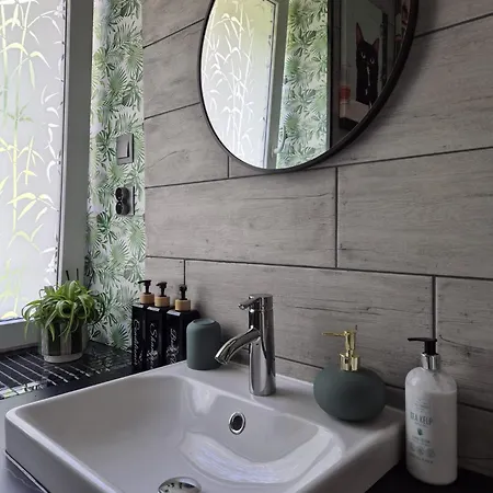 Zielono Mi 2 شقة *