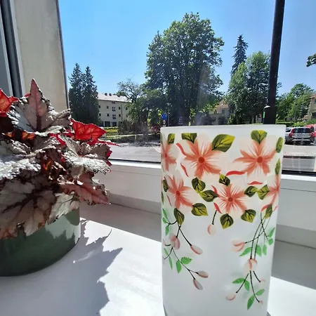 Zielono Mi 2 アパート *