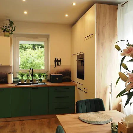 شقة Zielono Mi 2 جيدلينا زدروي