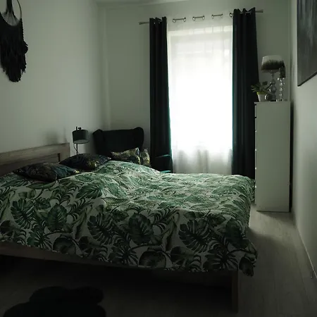 Zielono Mi 2 アパート