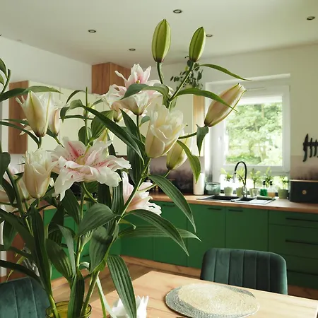 Apartment Zielono Mi 2