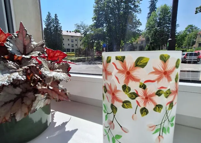 Zielono Mi 2 아파트 *