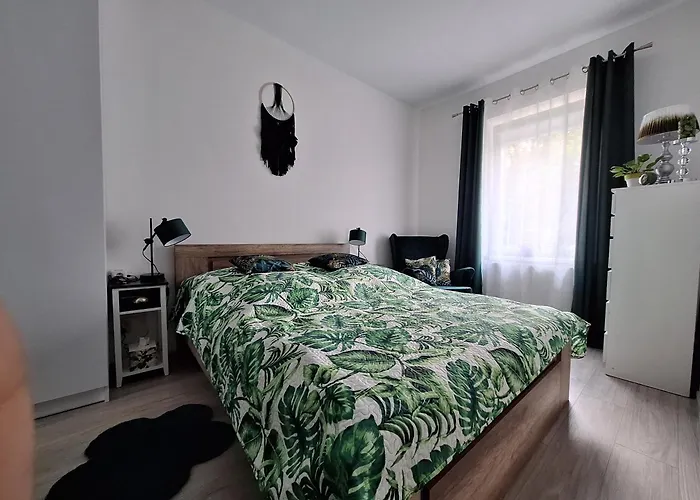 Zielono Mi 2 * 예들리나-즈드로이